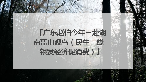 广东赵伯今年三赴湖南蓝山观鸟（民生一线·银发经济促消费）