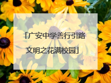 广安中学善行引路 文明之花满校园