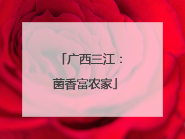 广西三江：菌香富农家