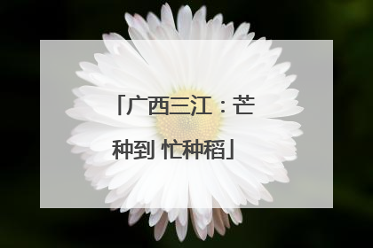 广西三江：芒种到 忙种稻