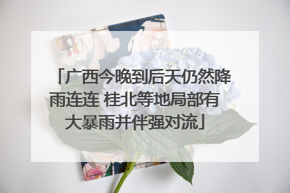 广西今晚到后天仍然降雨连连 桂北等地局部有大暴雨并伴强对流