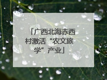 广西北海赤西村激活“农文旅学”产业