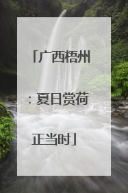 广西梧州：夏日赏荷正当时