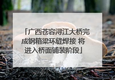 广西苍容浔江大桥完成钢箱梁环缝焊接 将进入桥面铺装阶段