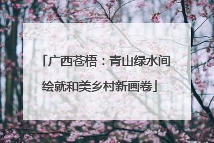 广西苍梧：青山绿水间绘就和美乡村新画卷