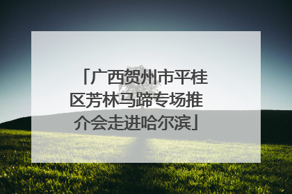 广西贺州市平桂区芳林马蹄专场推介会走进哈尔滨