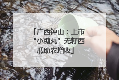 广西钟山：上市“小糖丸”无籽西瓜助农增收