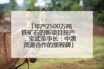 年产2500万吨铁矿石的新项目投产，宝武董事长：中澳资源合作的里程碑