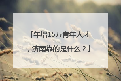 年增15万青年人才，济南靠的是什么？