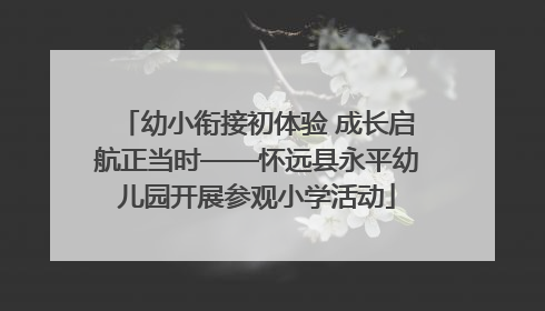 幼小衔接初体验 成长启航正当时——怀远县永平幼儿园开展参观小学活动
