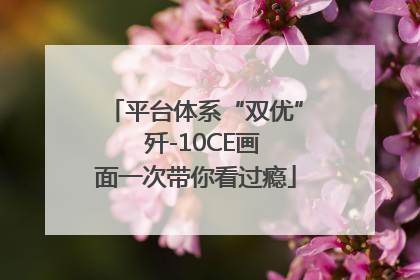 平台体系“双优”  歼-10CE画面一次带你看过瘾