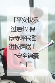 平安快乐过暑假 保康寺坪民警进校园送上“安全锦囊”
