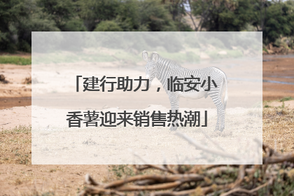 建行助力，临安小香薯迎来销售热潮