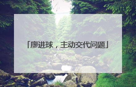 廖进球，主动交代问题