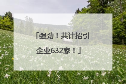 强劲！共计招引企业632家！