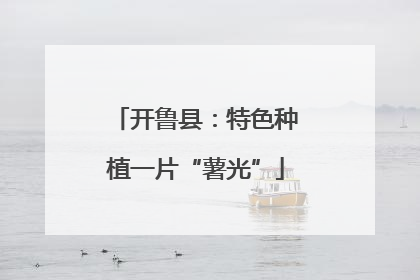开鲁县：特色种植一片“薯光”