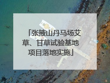 张掖山丹马场艾草、甘草试验基地项目落地实施