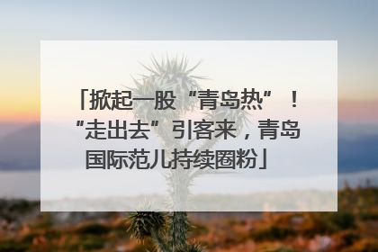 掀起一股“青岛热”！“走出去”引客来，青岛国际范儿持续圈粉