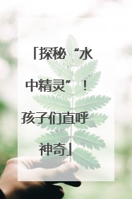 探秘“水中精灵”！孩子们直呼神奇