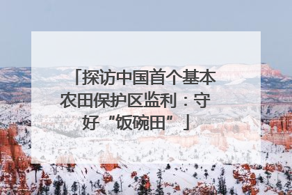 探访中国首个基本农田保护区监利：守好“饭碗田”