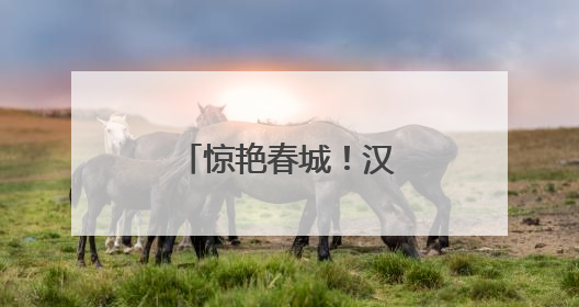 惊艳春城！汉服巡游邂逅长春公园芍药花海