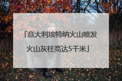 意大利埃特纳火山喷发 火山灰柱高达5千米