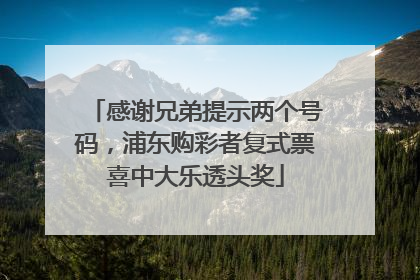 感谢兄弟提示两个号码，浦东购彩者复式票喜中大乐透头奖