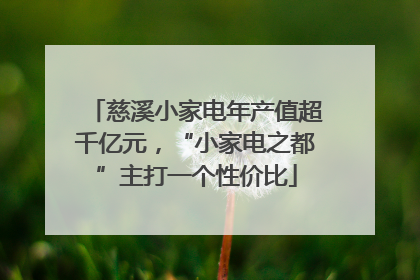 慈溪小家电年产值超千亿元，“小家电之都”主打一个性价比