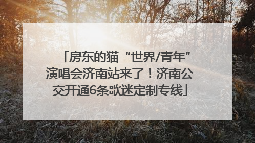 房东的猫“世界/青年”演唱会济南站来了！济南公交开通6条歌迷定制专线