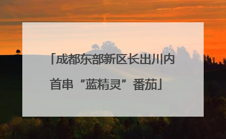 成都东部新区长出川内首串“蓝精灵”番茄