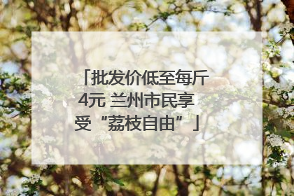 批发价低至每斤4元 兰州市民享受“荔枝自由”