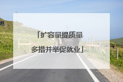 扩容量提质量 多措并举促就业