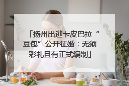 扬州出逃卡皮巴拉“豆包”公开征婚：无须彩礼且有正式编制