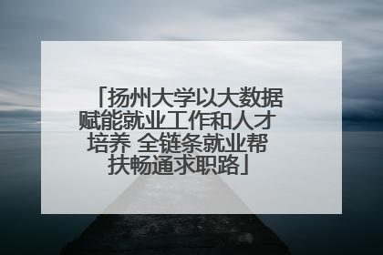扬州大学以大数据赋能就业工作和人才培养 全链条就业帮扶畅通求职路