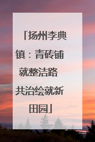 扬州李典镇：青砖铺就整洁路 共治绘就新田园