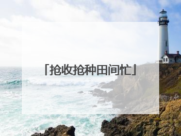 抢收抢种田间忙