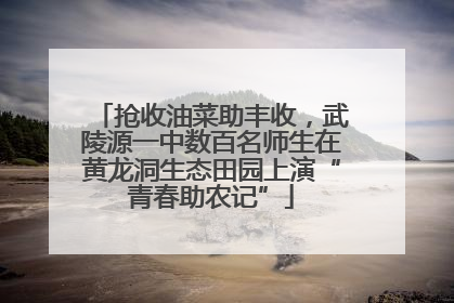 抢收油菜助丰收，武陵源一中数百名师生在黄龙洞生态田园上演“青春助农记”
