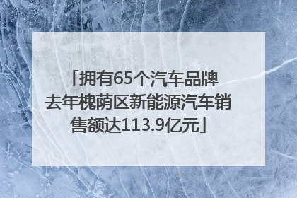 拥有65个汽车品牌 去年槐荫区新能源汽车销售额达113.9亿元