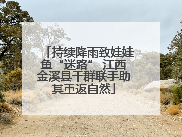 持续降雨致娃娃鱼“迷路” 江西金溪县干群联手助其重返自然