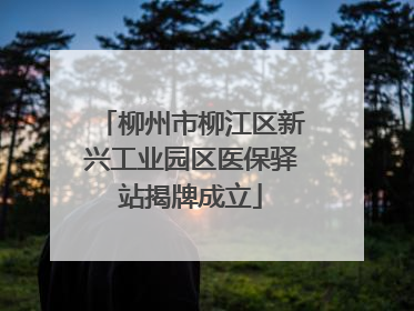 柳州市柳江区新兴工业园区医保驿站揭牌成立