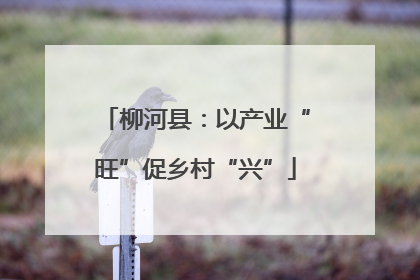 柳河县：以产业“旺”促乡村“兴”