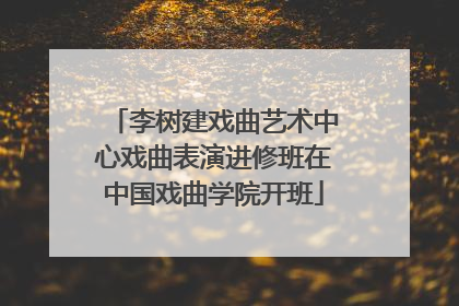 李树建戏曲艺术中心戏曲表演进修班在中国戏曲学院开班