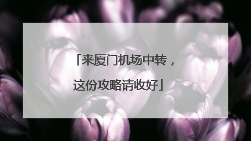 来厦门机场中转，这份攻略请收好