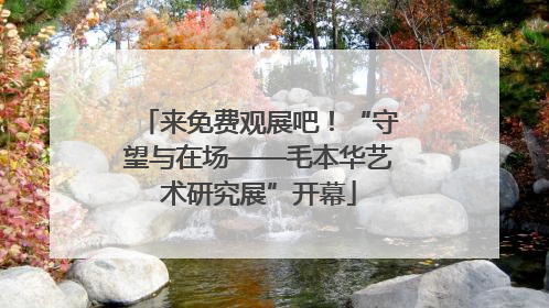 来免费观展吧！“守望与在场——毛本华艺术研究展”开幕