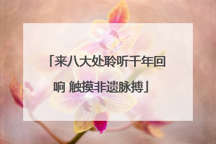 来八大处聆听千年回响 触摸非遗脉搏