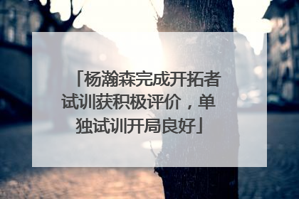 杨瀚森完成开拓者试训获积极评价，单独试训开局良好