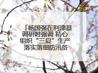杨国强在利津县调研时强调 精心组织“三夏”生产 落实落细防汛备汛工作