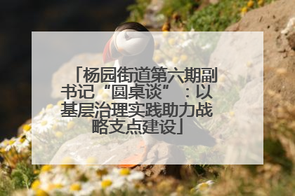 杨园街道第六期副书记“圆桌谈”：以基层治理实践助力战略支点建设