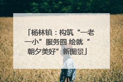 杨林镇：构筑“一老一小”服务圈 绘就“朝夕美好”新图景