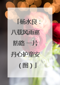杨水良：八载风雨巡防路 一片丹心护童安（图）